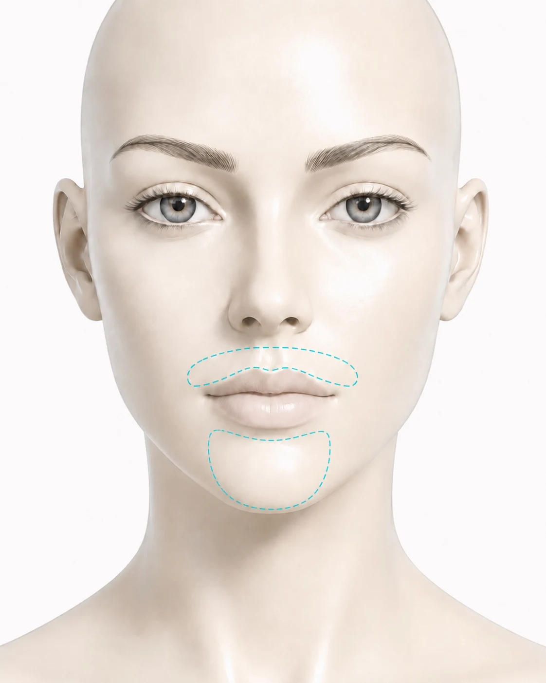 Diagram showing the two zones covered by the Lip and Chin course: the area above the upper lip, and the chin from below the lower lip down to the jawline.