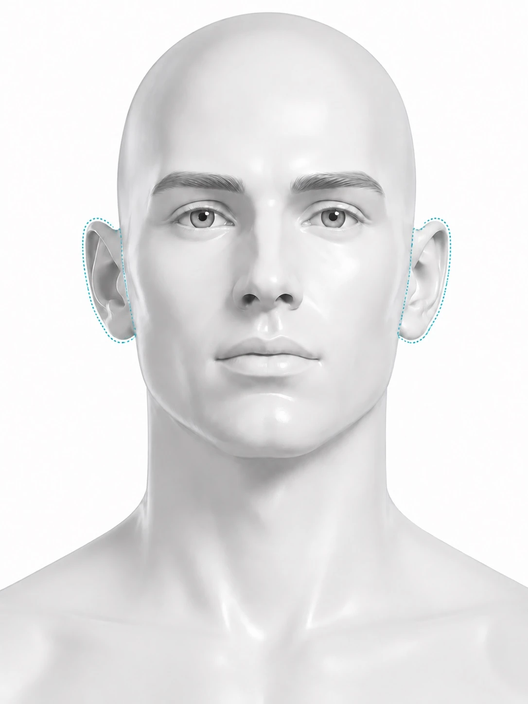 Front-view diagram of a man's face with the outline of both outer ears marked: the rim and the lobe. The ear canal is not marked.