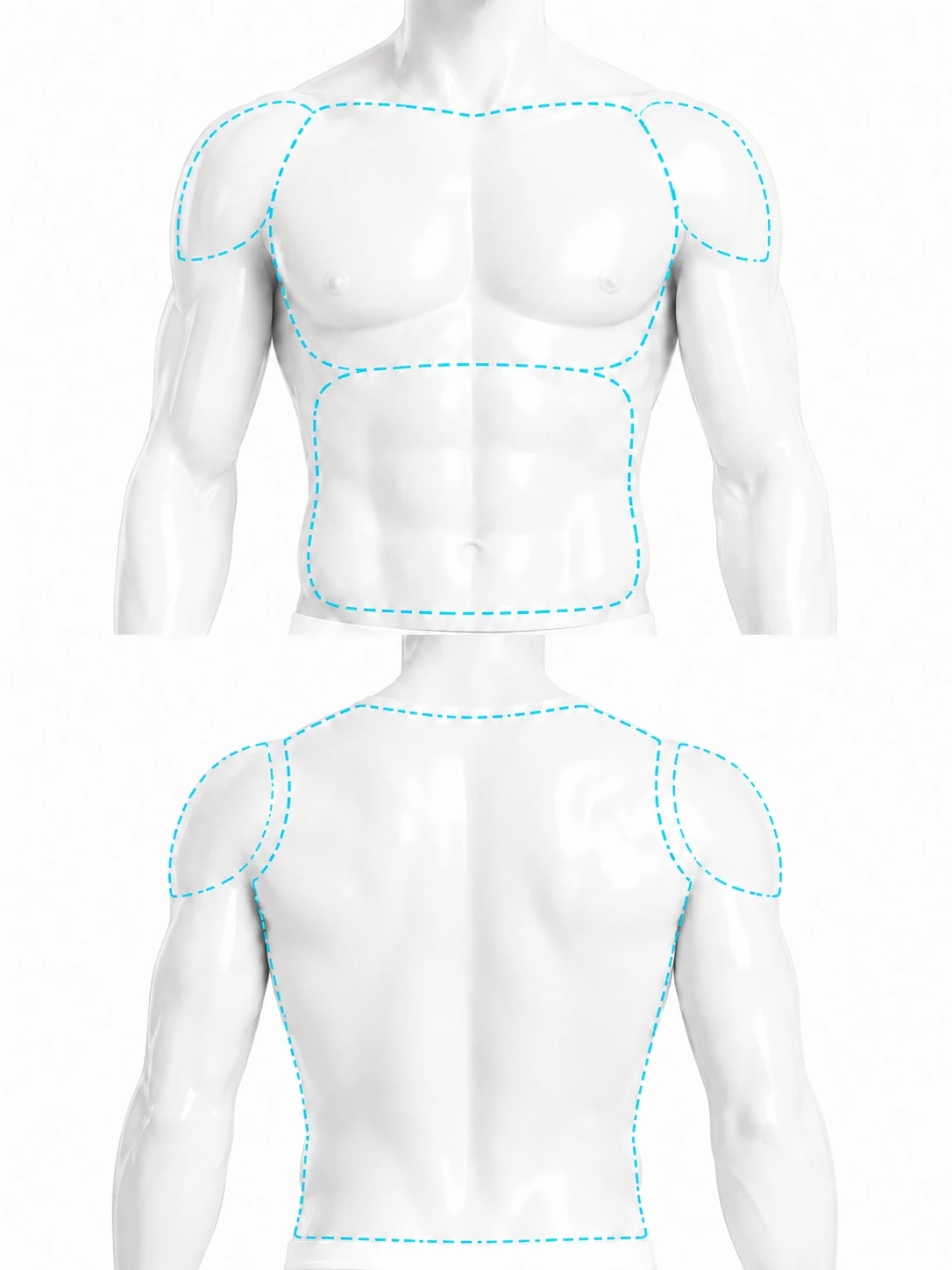Two-panel diagram. The upper panel is a front view with the chest, the stomach and both shoulder caps marked. The lower panel is a rear view with the whole back and both shoulder caps marked.