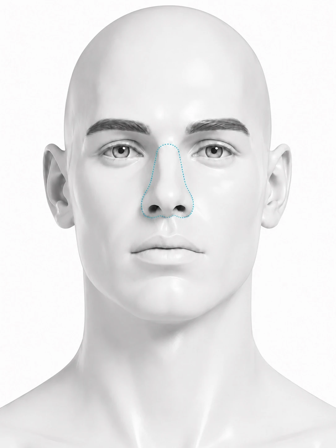 Front-view diagram of a man's face with the outside of the nose marked: the bridge, both sides and the nostril rims. The inside of the nostrils is not marked.